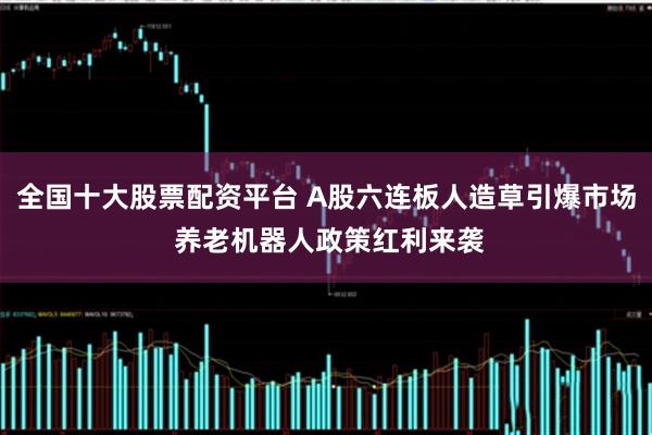 全国十大股票配资平台 A股六连板人造草引爆市场 养老机器人政策红利来袭