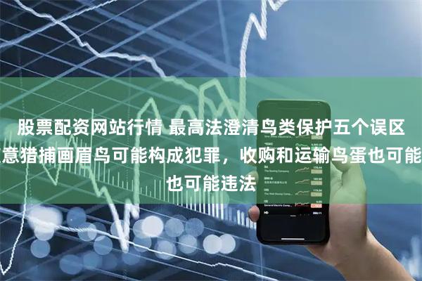 股票配资网站行情 最高法澄清鸟类保护五个误区：随意猎捕画眉鸟可能构成犯罪，收购和运输鸟蛋也可能违法